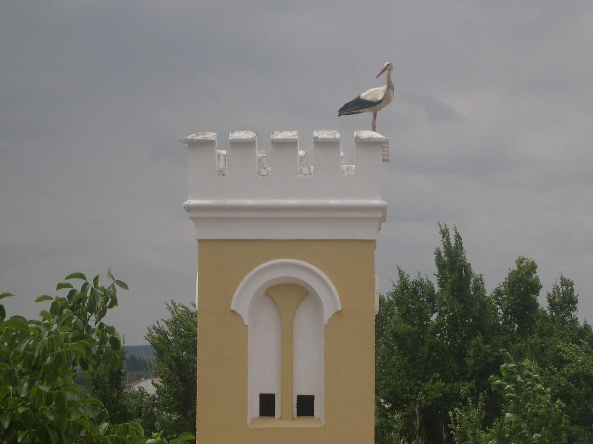 Quinta De Coalhos Th Villa Abrantes Exterior foto