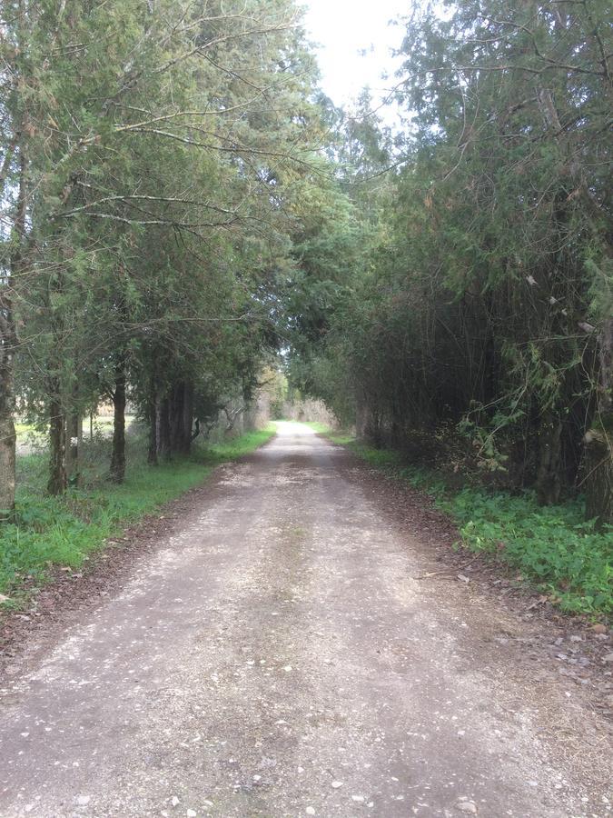 Quinta De Coalhos Th Villa Abrantes Exterior foto